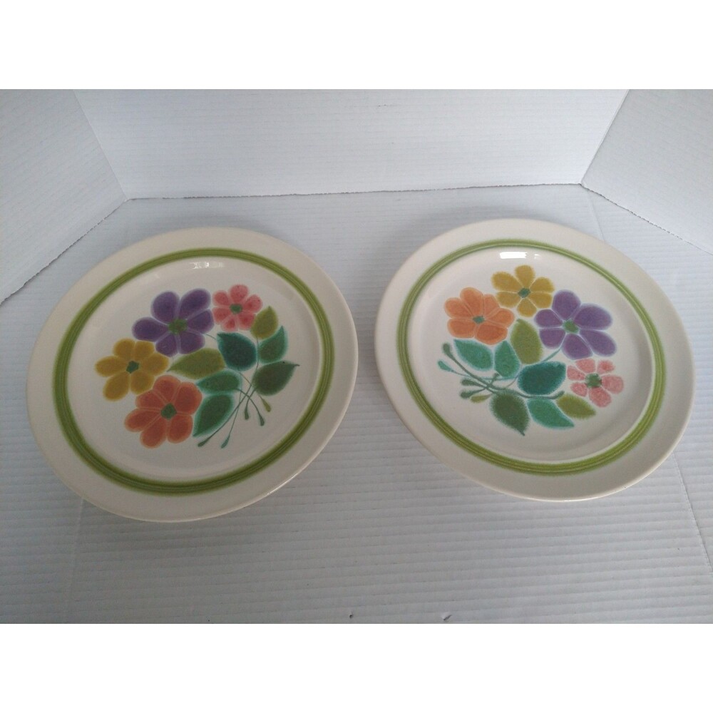 Set of 2 Vintage Franciscan Ware Floral Pattern Dinner Plates